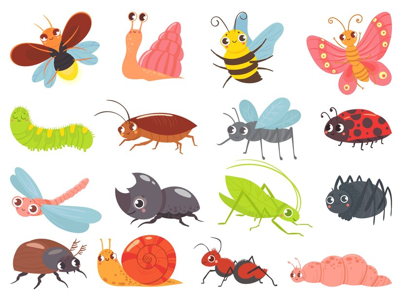 Invertebrados, insetos e hexapódes