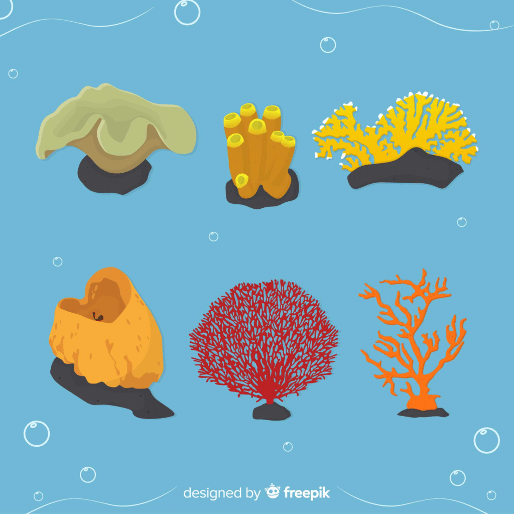 Esponjas do Mar