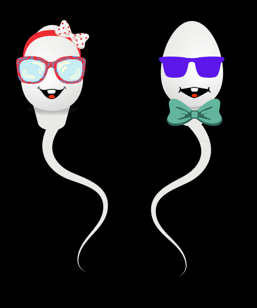 Gametas