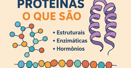 Proteínas O Que São? Suas Funções e Principais Tipos