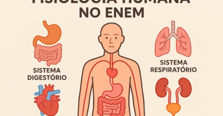 Fisiologia Humana no ENEM: Entenda O Que Mais Cai e Como se Preparar!